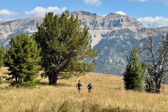 Running in Gros Ventre Wilderness area