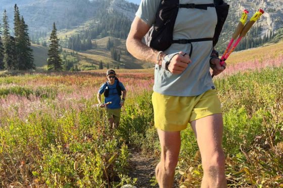 Wildflowers in Gros Ventre wilderness