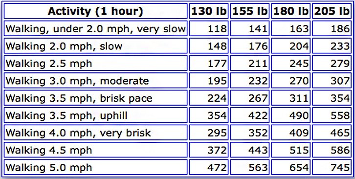 calories burned walking