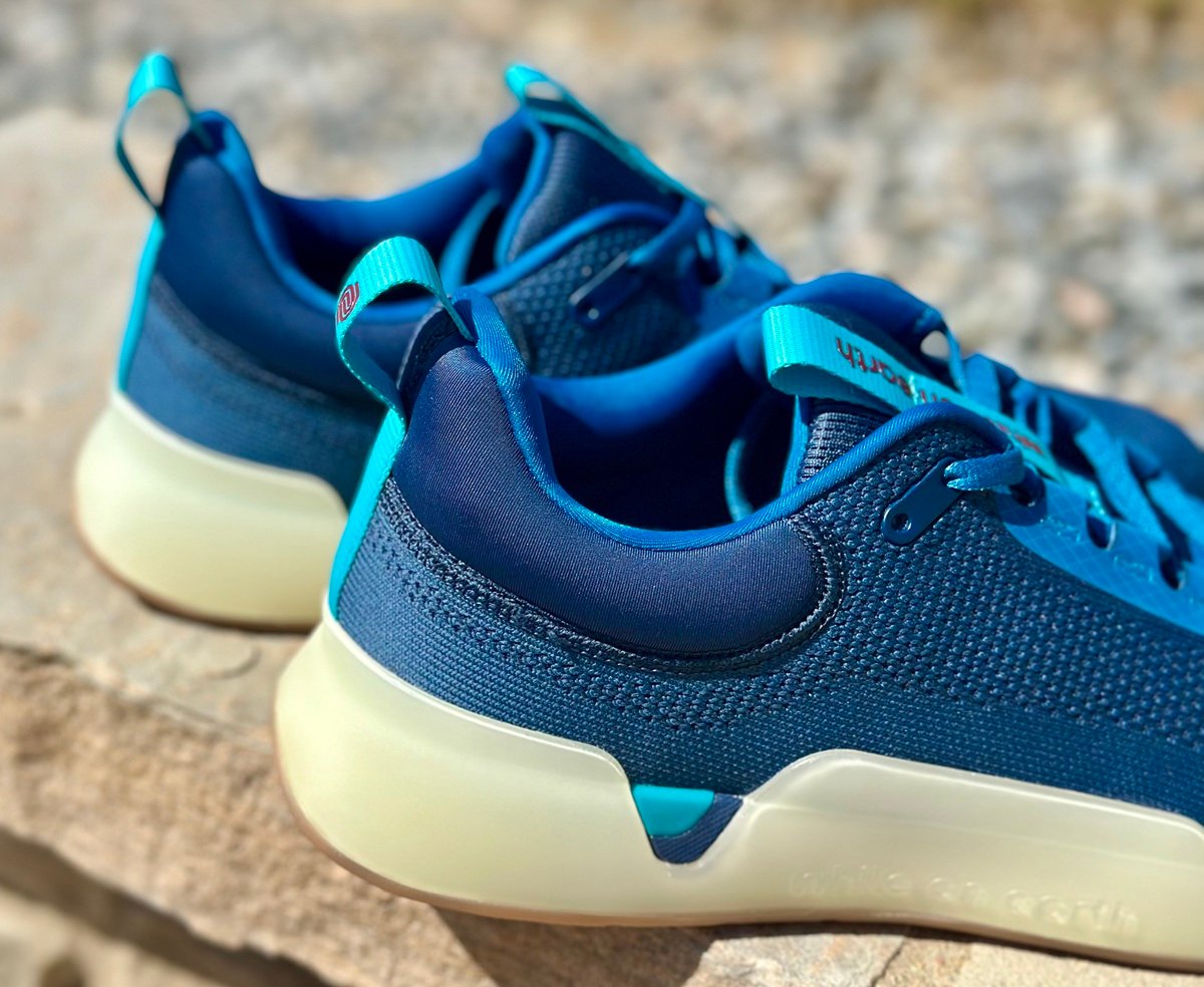 while on earth move trainer mesh