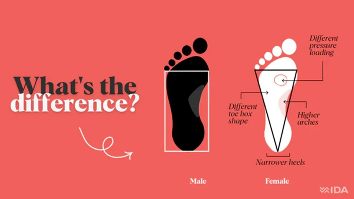 men vs women's foot shape
