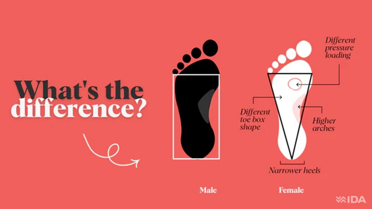 men vs women's foot shape