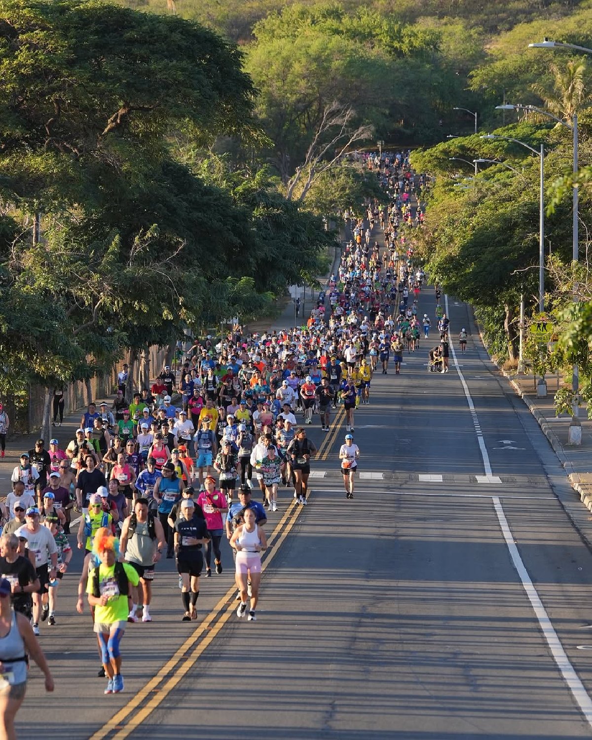 runners on Honolulu Marathon course