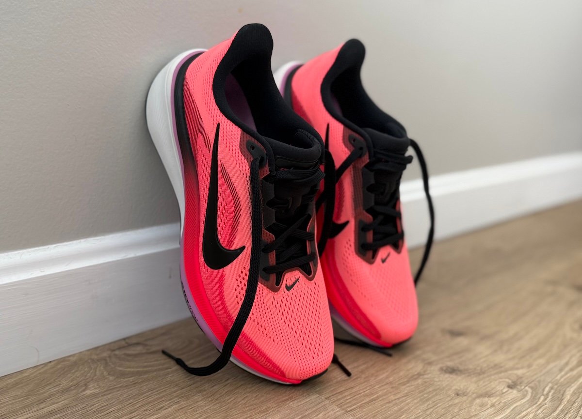 Nike Pegasus 42 Overview