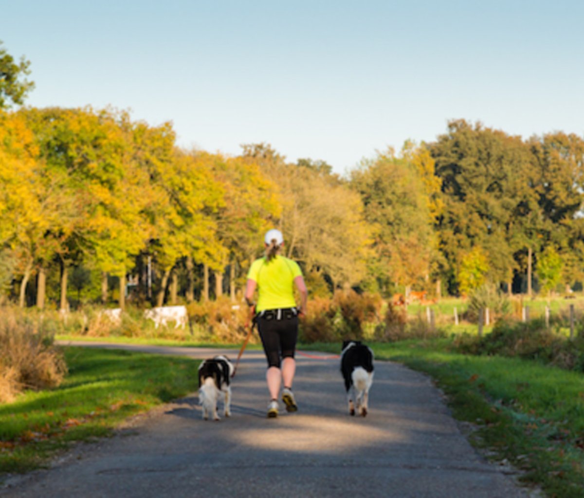 woman running on a paved path with her dogs