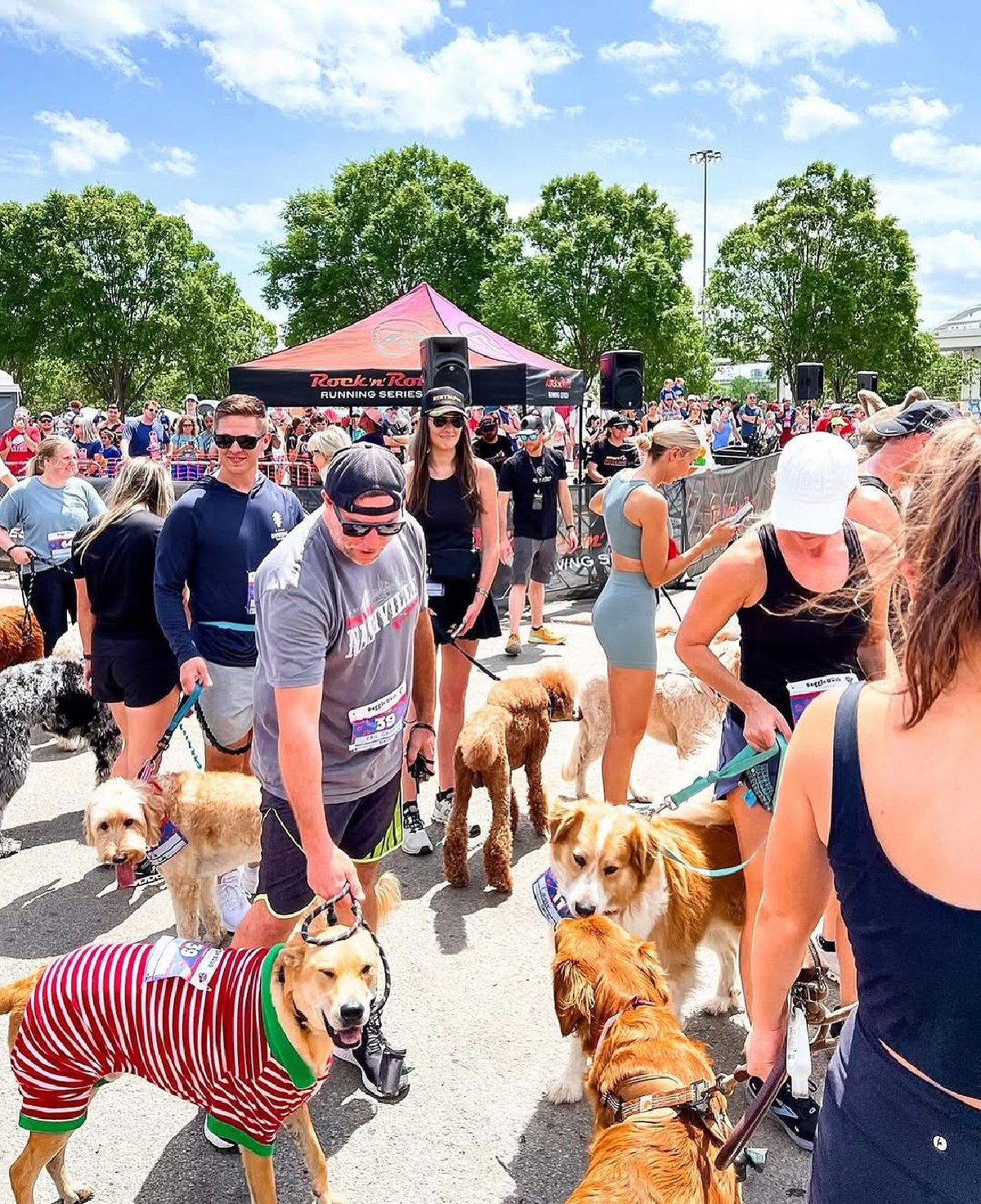runners and dogs at doggie dash nashville