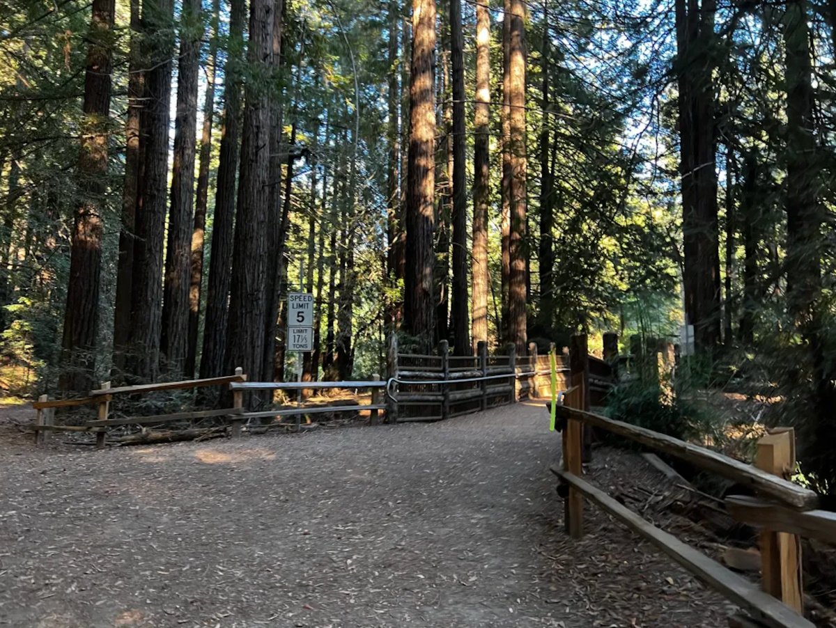 redwoods at oakland hills trail race