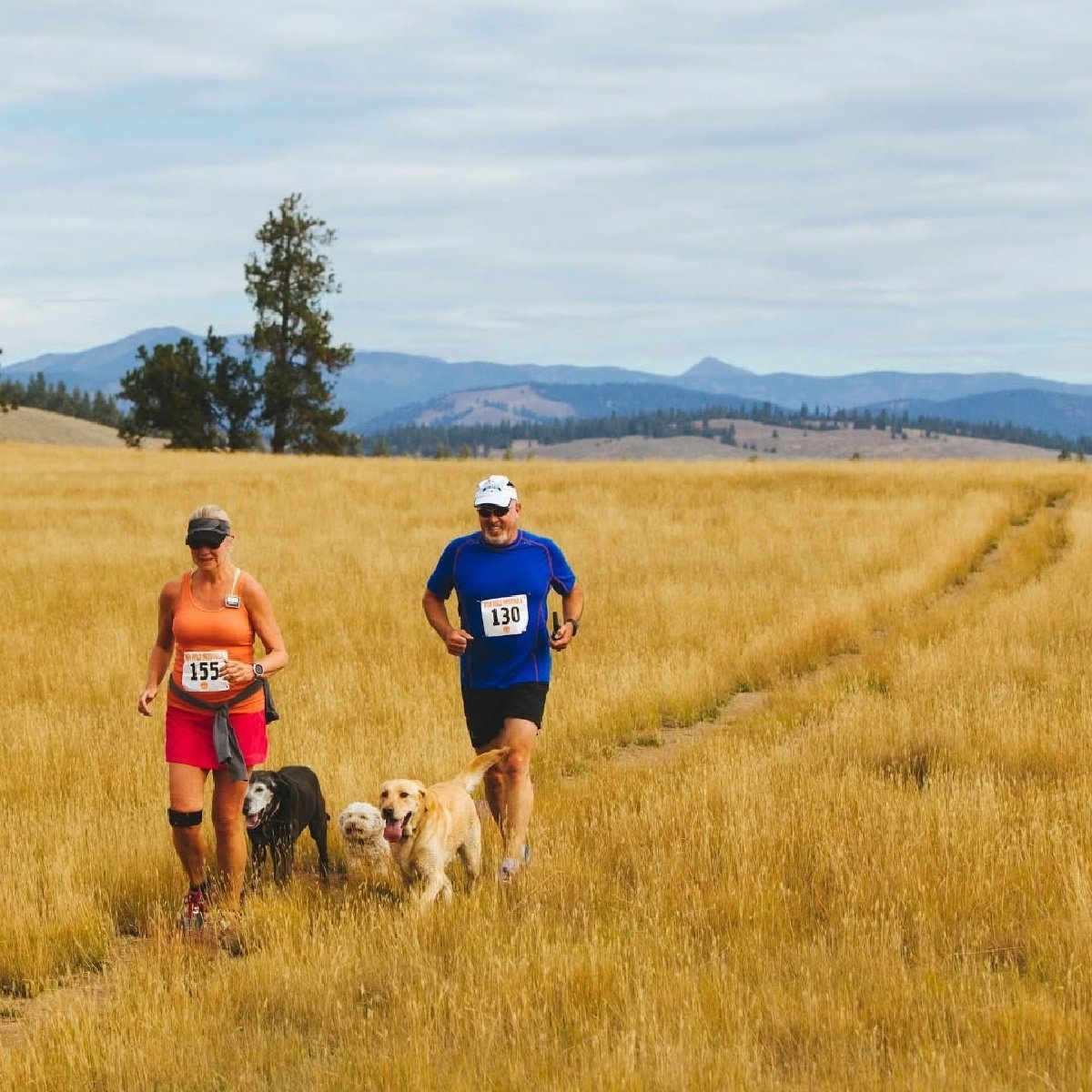 runners at paws up canine classic