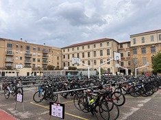 IMG_5567